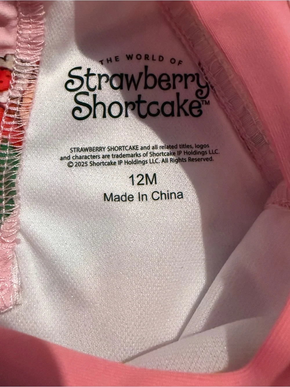 Strawberry Shortcake Girls 12M Pink UPF 50 Rash Guard Swimsuit NWT